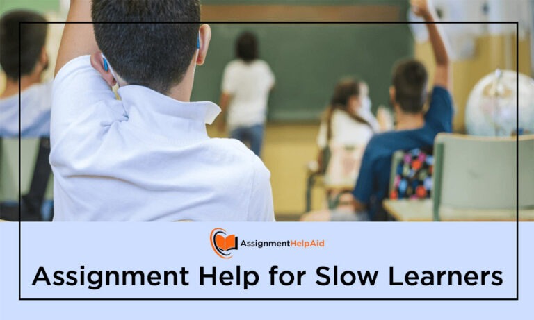 Assignment Help