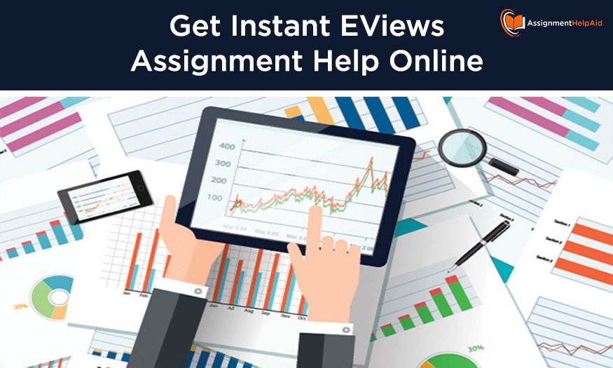 Get Instant EViews Assignment Help Online