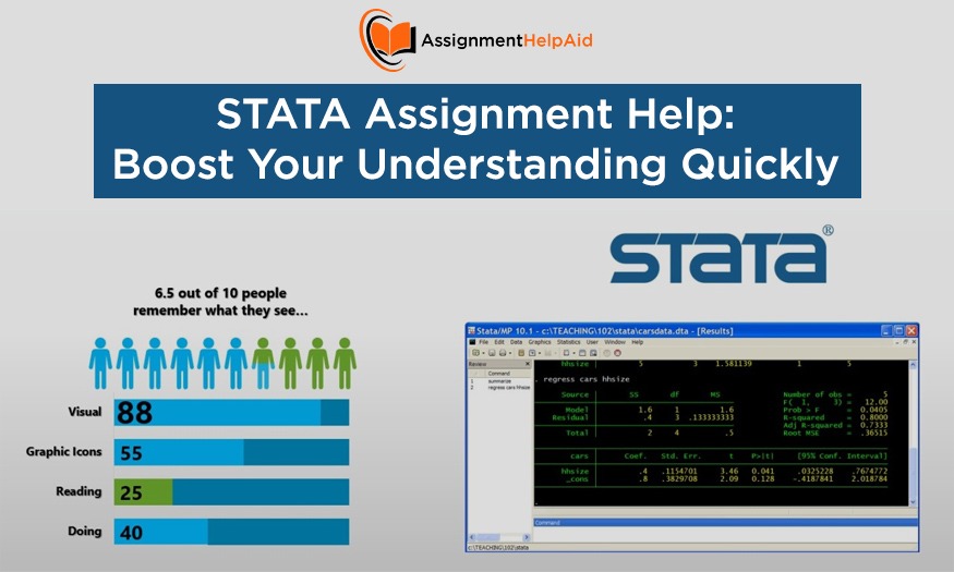 STATA Assignment Help: Boost Your Understanding Quickly