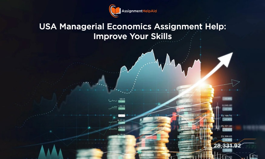 USA Managerial Economics Assignment Help: Improve Your Skills